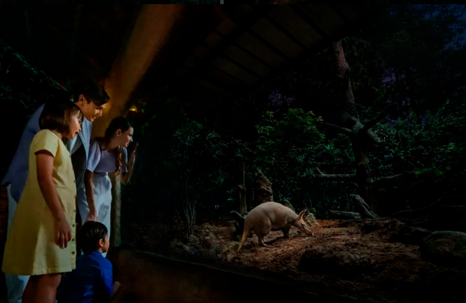Night Safari Ticket | Mandai Wildlife Reserve, Singapore