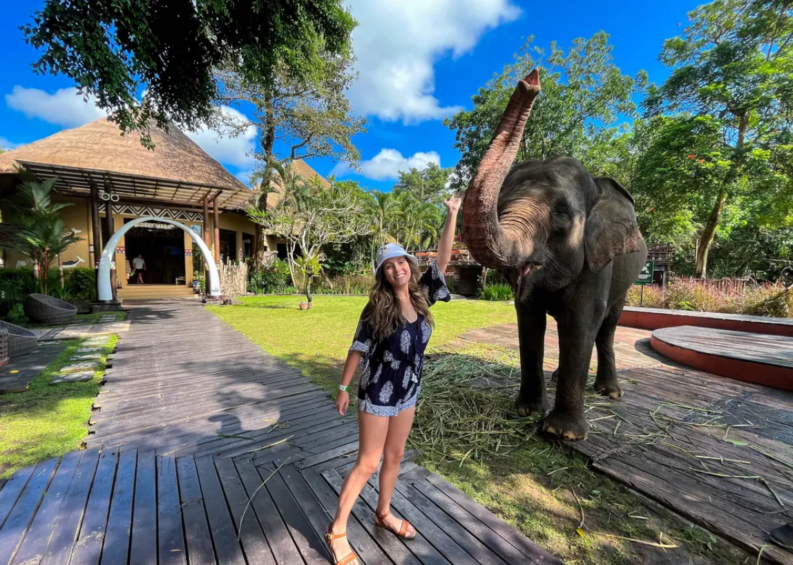 Bali Safari Park Ticket