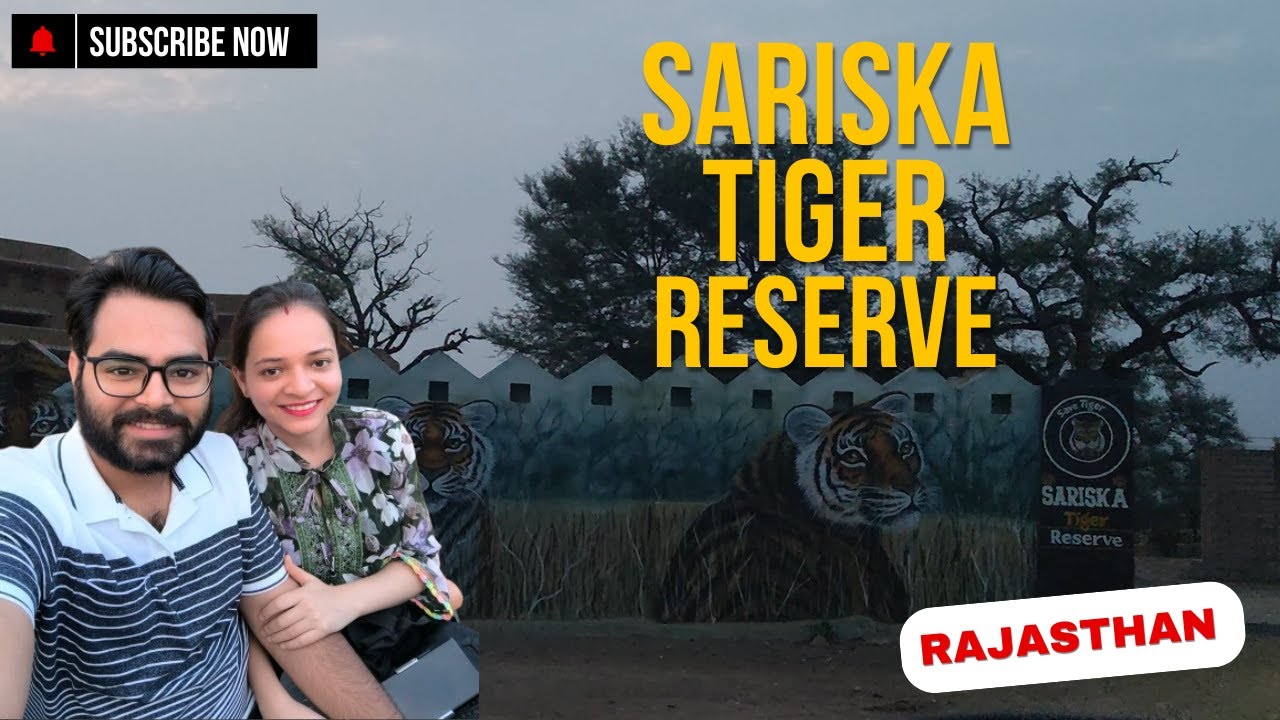 Exploring Sariska Tiger Reserve (Rajasthan) : Safari Adventure & Museum