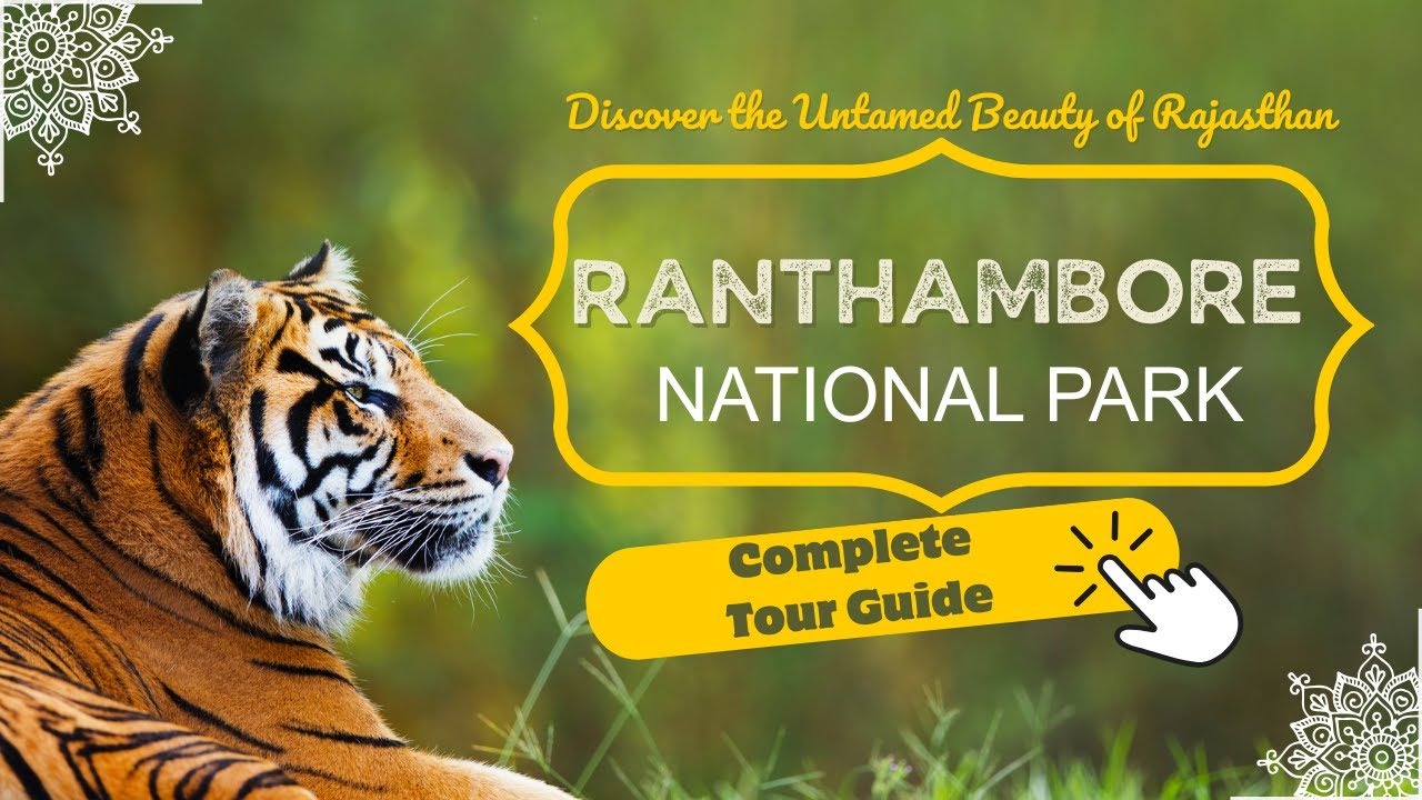 Ranthambore National Park Tour | Complete Travel Guide & Tiger Safari | Rajasthan